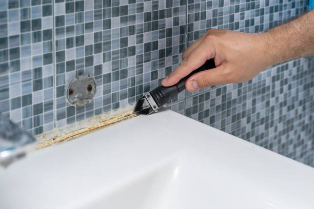 Best Local Mold Removal Service  in Lake Leann, MI